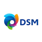 DSM