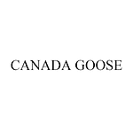 canada-goose